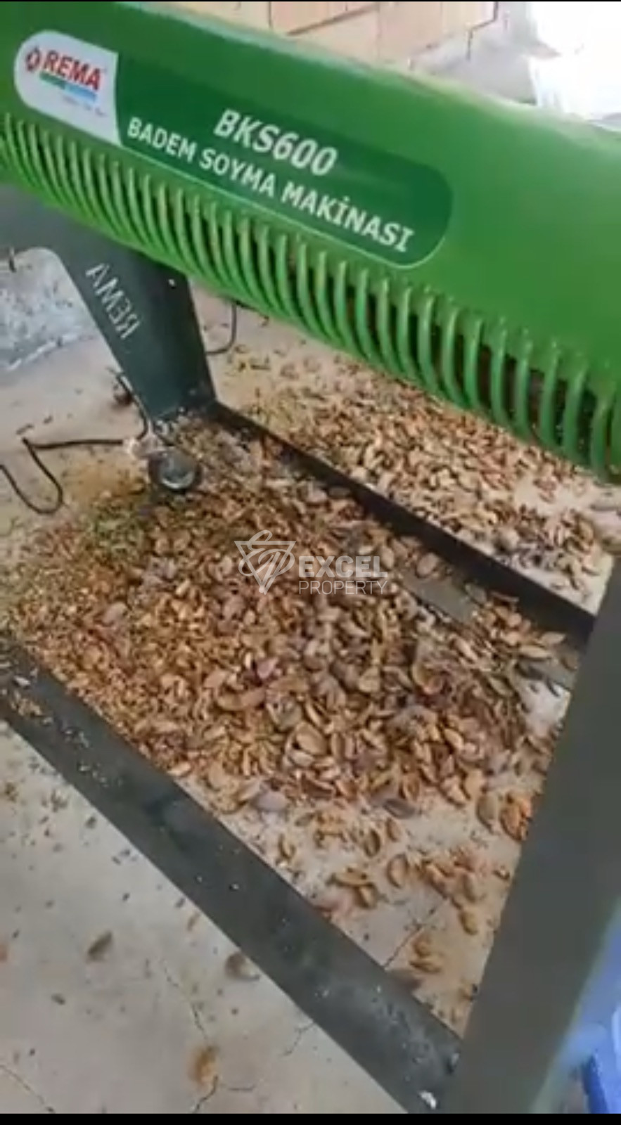 🌰 BUSINESS FOR SALE – ALMOND GARDEN IN VILLAGE OF GIULOVTSA