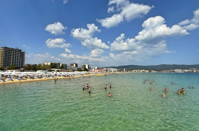 First Line vs. Second Line: Why the Most Expensive Isn't Always the Best for You?