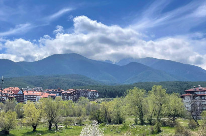 South one-bedroom apartment with an amazing view of the Pirin Mountains