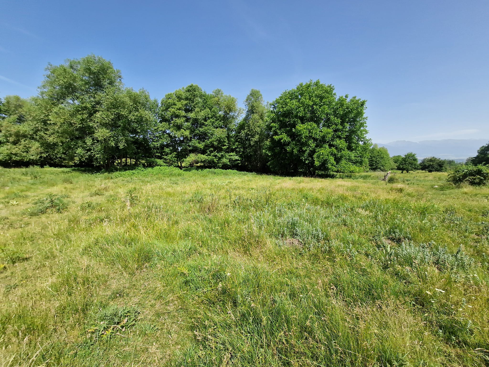 Plot for sale with a view of the Pirin Mountains in Bansko