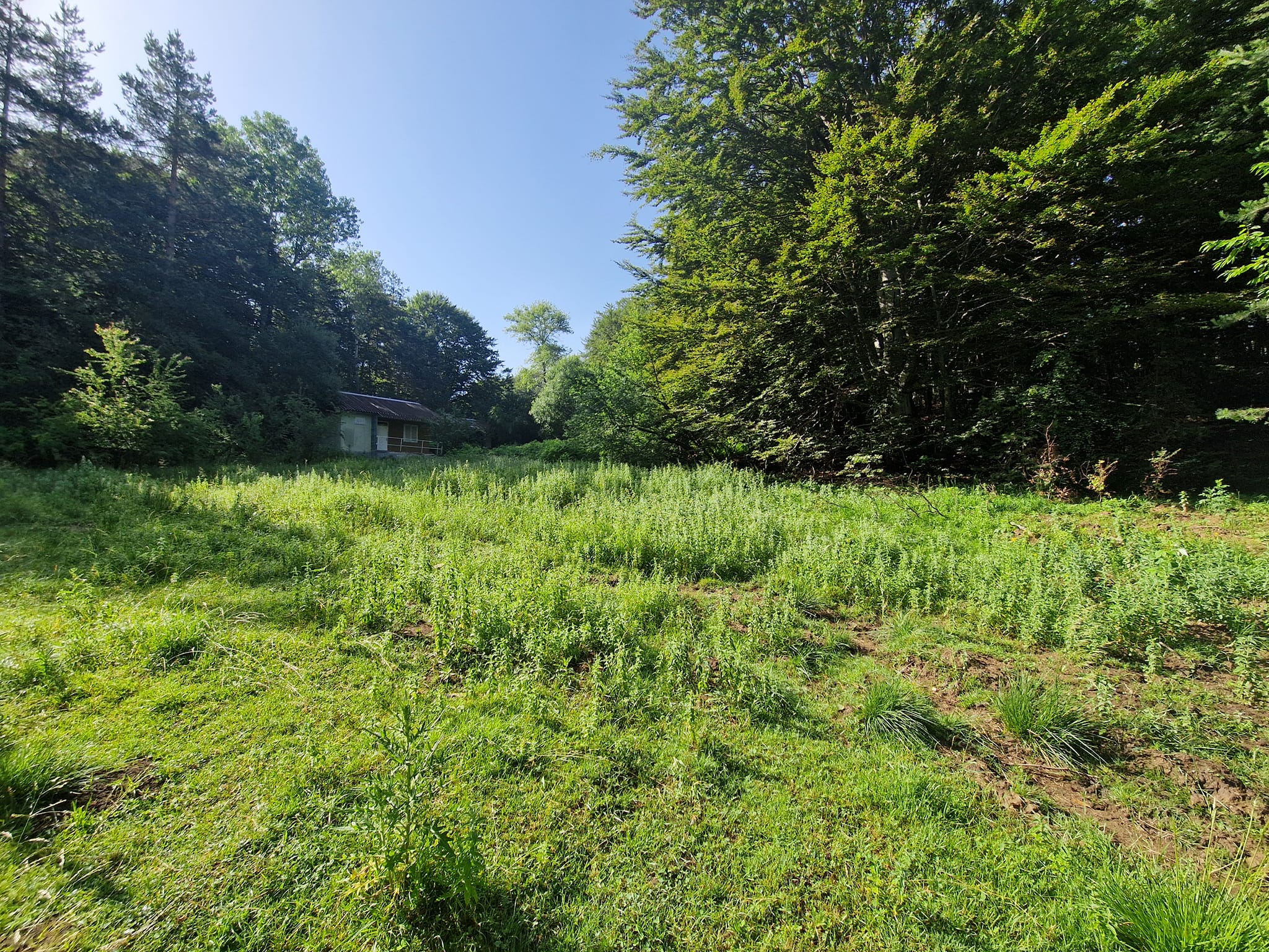 For sale: A plot of land with three bungalows in a villa area 'Predela' near the town of Razlog