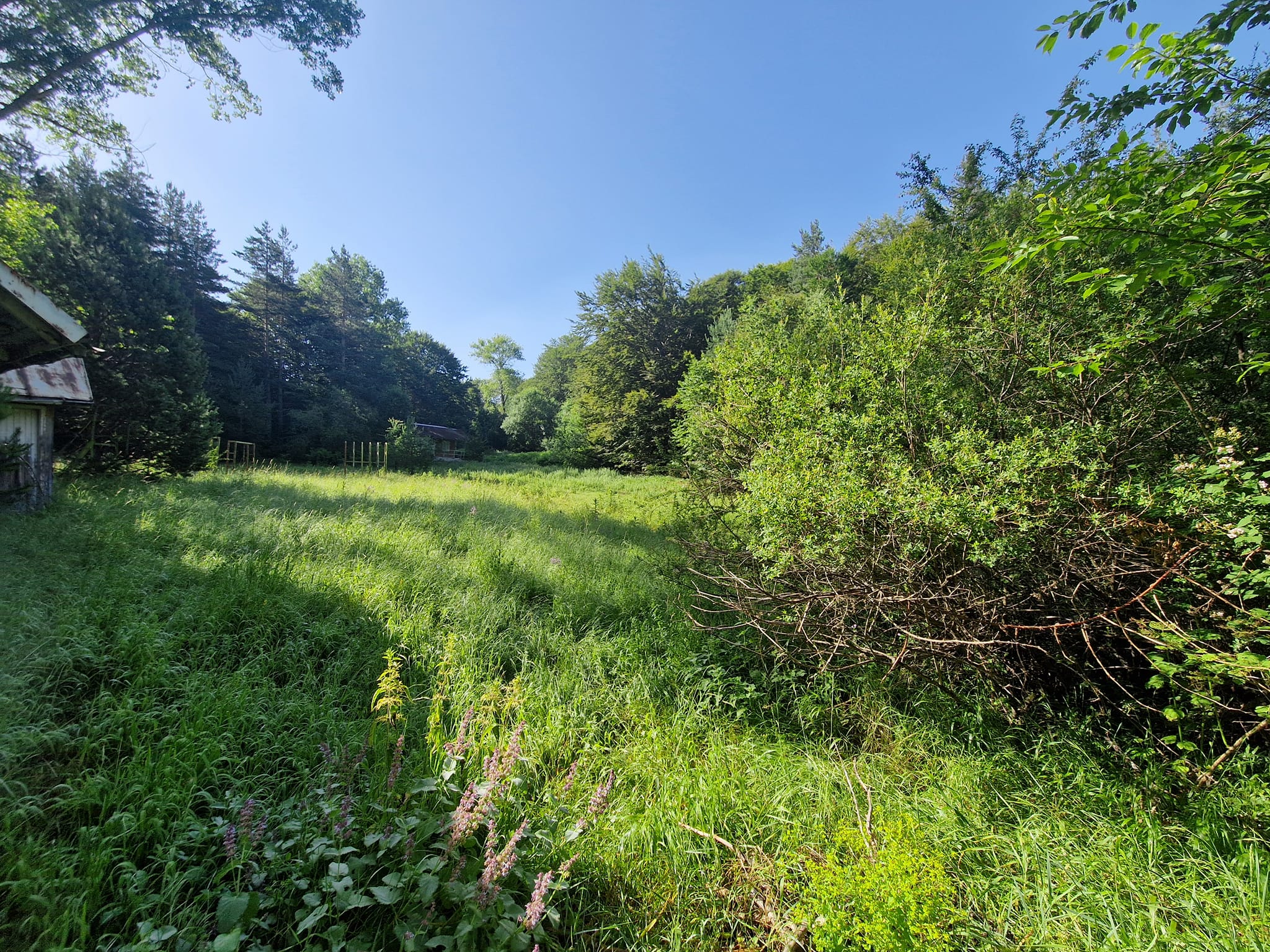 For sale: A plot of land with three bungalows in a villa area 'Predela' near the town of Razlog