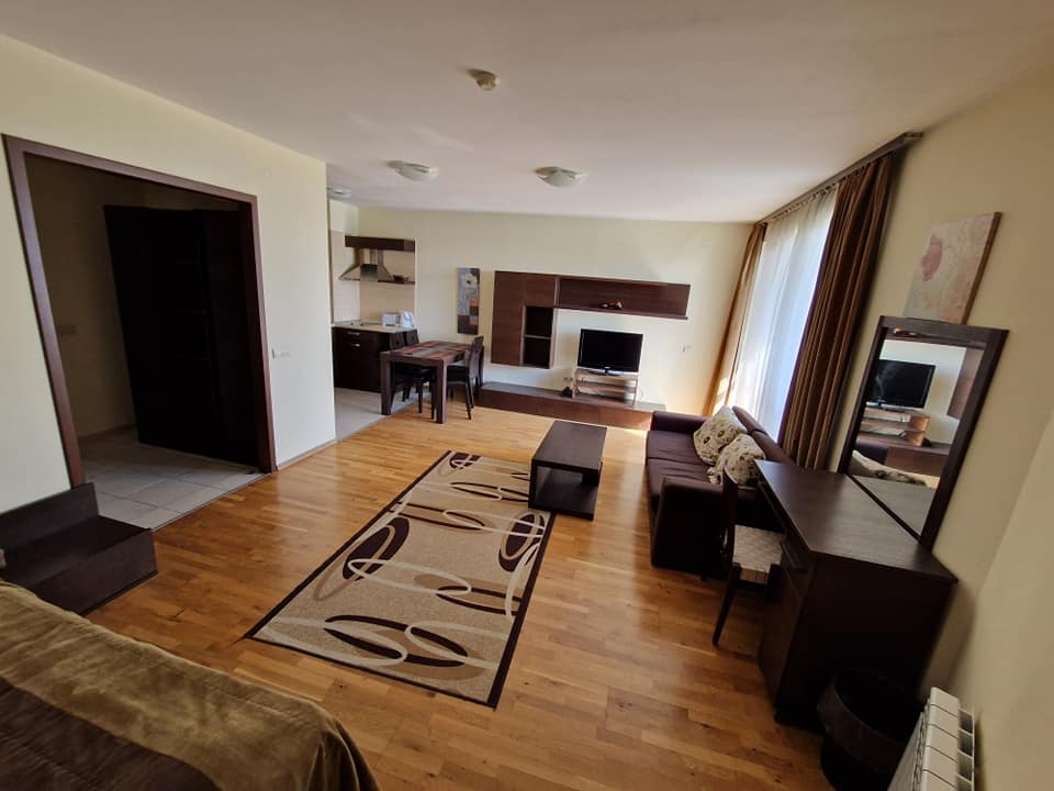 A large studio with a wonderful view of the Rila mountain and Bansko