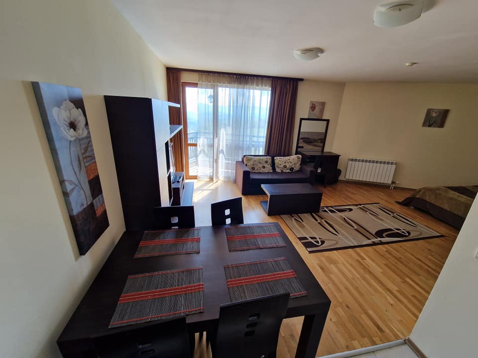 A large studio with a wonderful view of the Rila mountain and Bansko